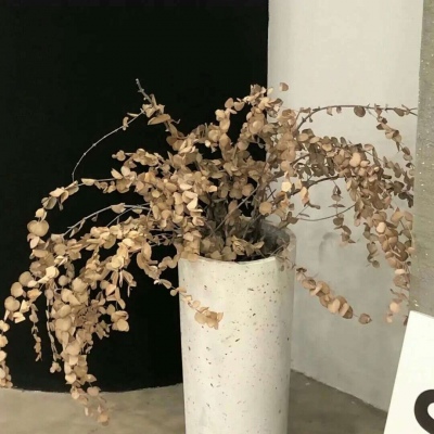 Furry插画风格打造Furry群